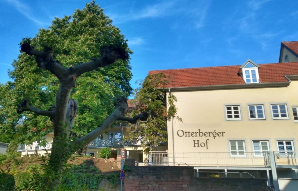 Schriftzug Otterberger Hof mit Blauregen